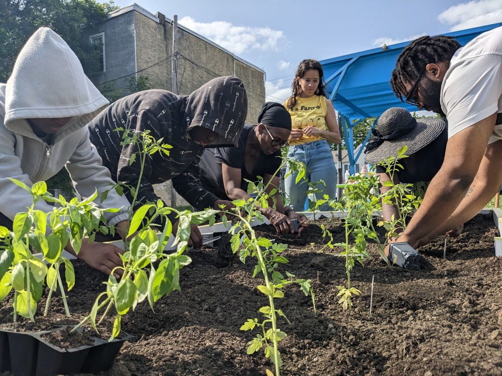CommUnity Garden @ The&nbsp;Creek