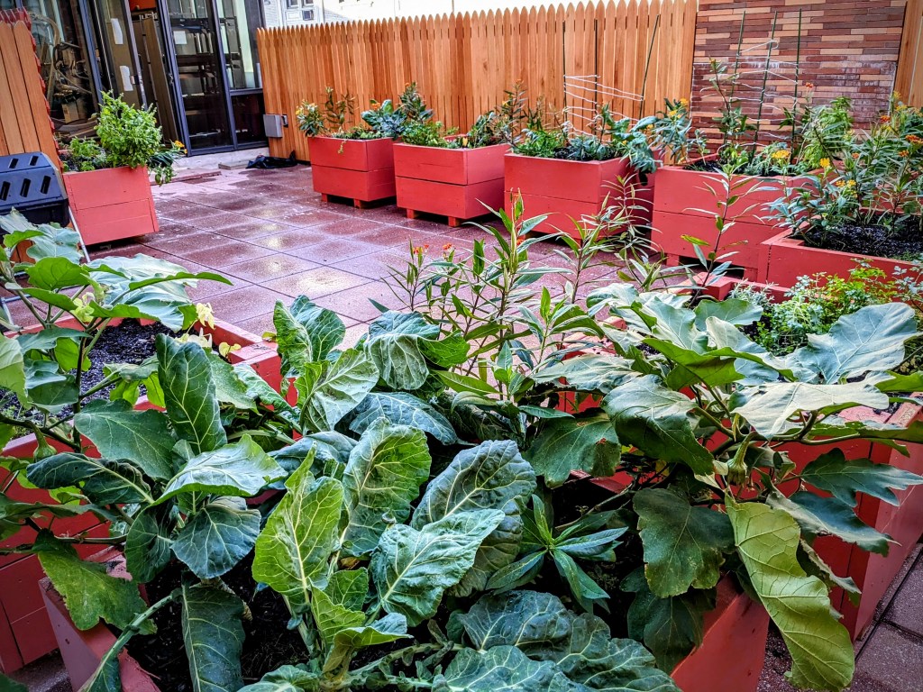 Saint David NYC School&nbsp;Garden